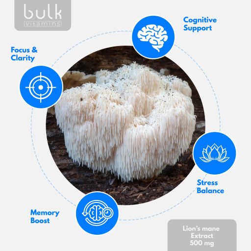 Lion's mane Extract 500mg + Rhodiola & Ginkgo - 180 Capsules - 90 Day Supply