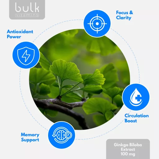 Ginkgo Biloba Extract 100mg - 90 Capsules - 90 Day Supply