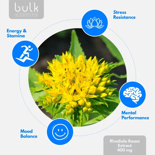 Rhodiola Rosea Extract 400mg - 180 Capsules - 180 Day Supply